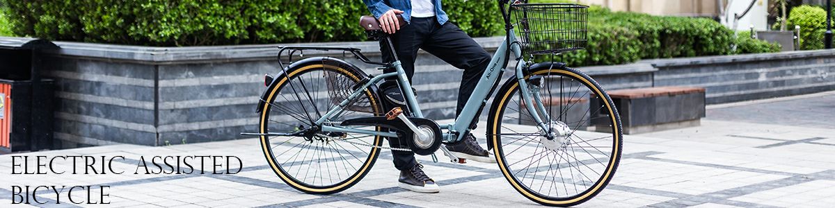 東京・神奈川限定] 電動アシスト自転車 完成車 AOMC260 | 21