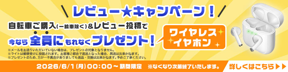 レビュープレゼントについて