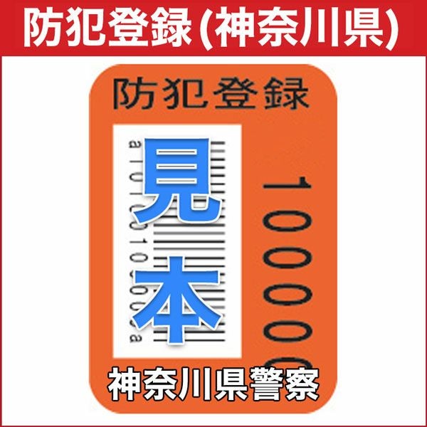 000000000771-01.jpg?size=l&w=